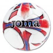 Confezione da 12 palloncini Joma Dali