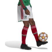 Coppa del Mondo 2022 Pantaloncini da casa Mexique