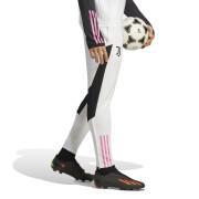 Pantaloni da allenamento Juventus Turin 2023/24