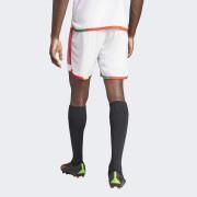 Pantaloncini della Terza maglia Benfica Lisbonne 2023/24