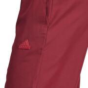 Pantaloni della tuta in tessuto Manchester United Lifestyler 2023/24