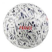 Pallone France sostenitori