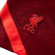Breve Liverpool FC Dynamic Fit Strike 2021/22