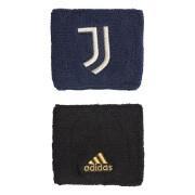Polsini Juventus
