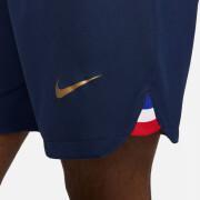 Pantaloncini da allenamento per la Coppa del Mondo 2022 Francia Dri-FIT Stadium